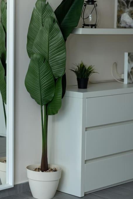 Deko Penthouse Appartement